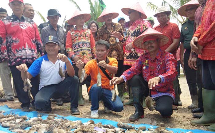 Cegah Gagal Panen, Itjentan Apresiasi Petani Lampung Tangkap 37.802 Tikus Sawah